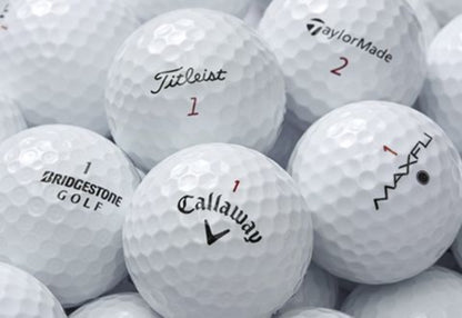 Titleist Pro V1X Golf Balls, Good Quality, 50 Pack, by Hunter Golf